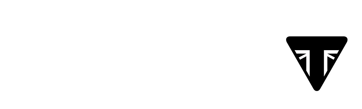 Tampa Triumph logo alt